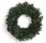 18" Preserved Oregon Boxwood Wreath